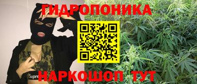 сатива Кулебаки